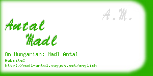 antal madl business card
